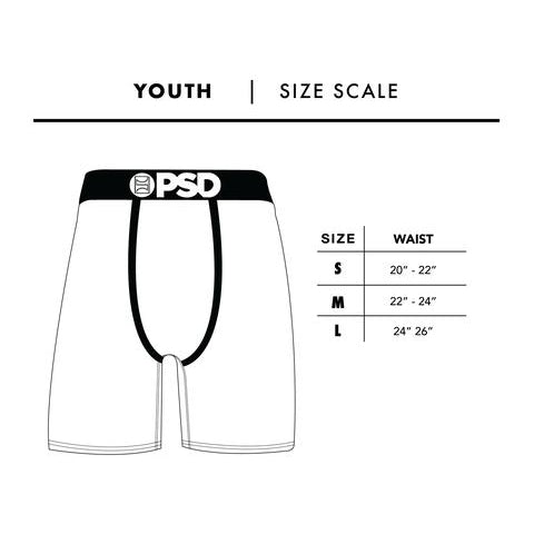 PSD Underwear, Space Jam Team Set, Boxer Briefs